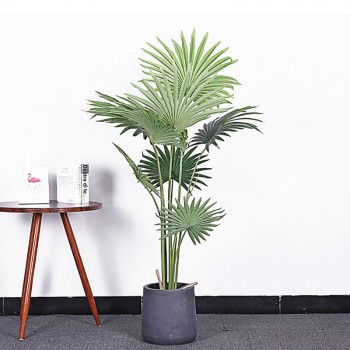 Cây cọ giả trang trí