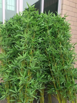 Cây trúc giả bán lẻ