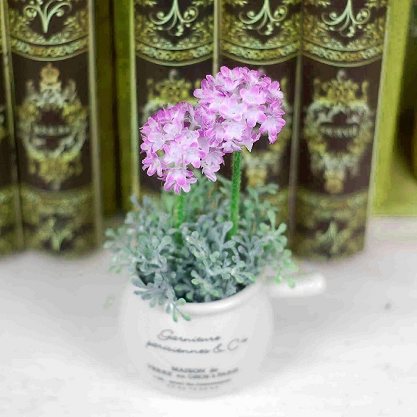 chậu hoa nhỏ để bàn