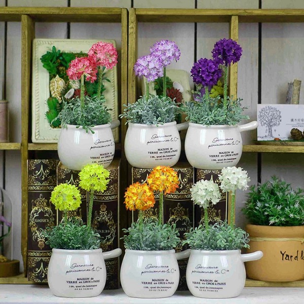 chậu hoa nhỏ để bàn
