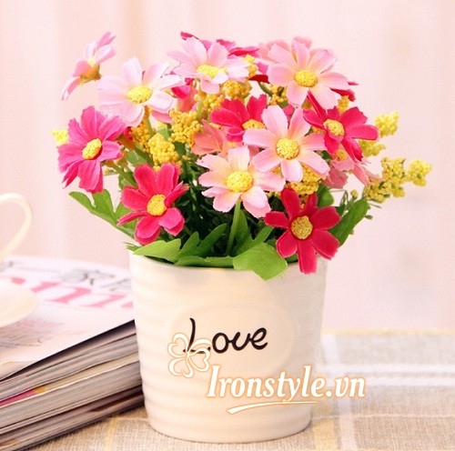 hoa để bàn