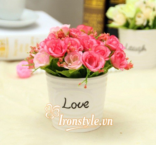 chậu hoa để bàn