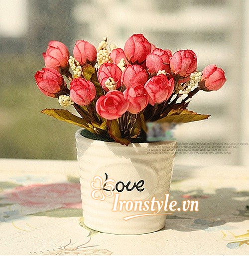chậu hoa trang trí