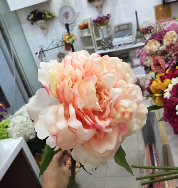 Hoa mẫu đơn vải