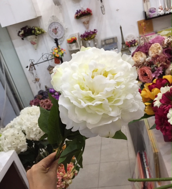 Hoa mẫu đơn vải cao cấp